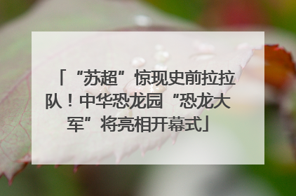 “苏超”惊现史前拉拉队！中华恐龙园“恐龙大军”将亮相开幕式